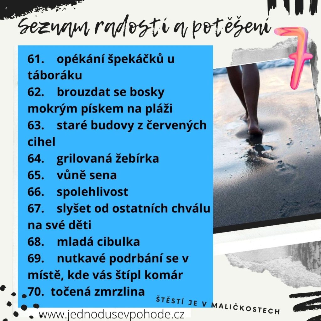 Seznam radostí a potěšení 7